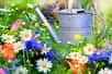 Préparez votre jardin pour l'été en choisissant des fleurs qui résistent bien à la sécheresse, vous permettant ainsi de partir en vacances l'esprit tranquille. Découvrez notre sélection de 10 fleurs colorées et résistantes à la sécheresse qui embelliront votre jardin tout au long de la saison estivale, sans nécessiter un arrosage fréquent ou de pluie.